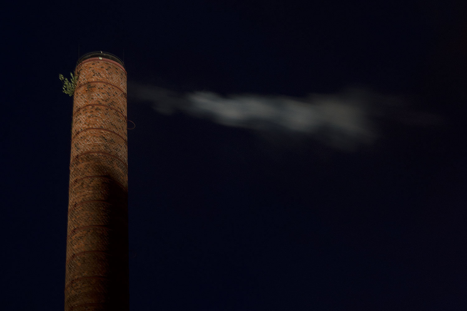 SOS. SVETLOBNA GVERILA Ljubljana 2020. Photo DK (1)